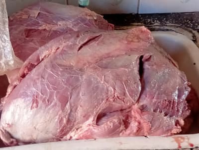 Carne de Res