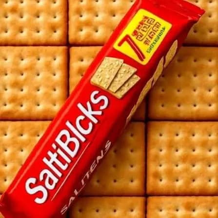 Saltiblocks